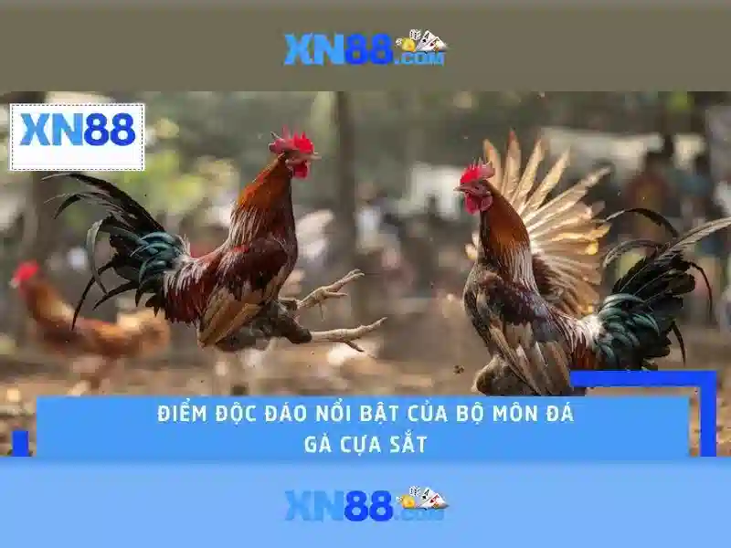 💎koopmeiners hb88 slot💎