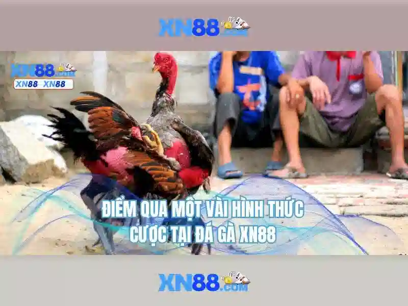 💎ke nhà cái💎