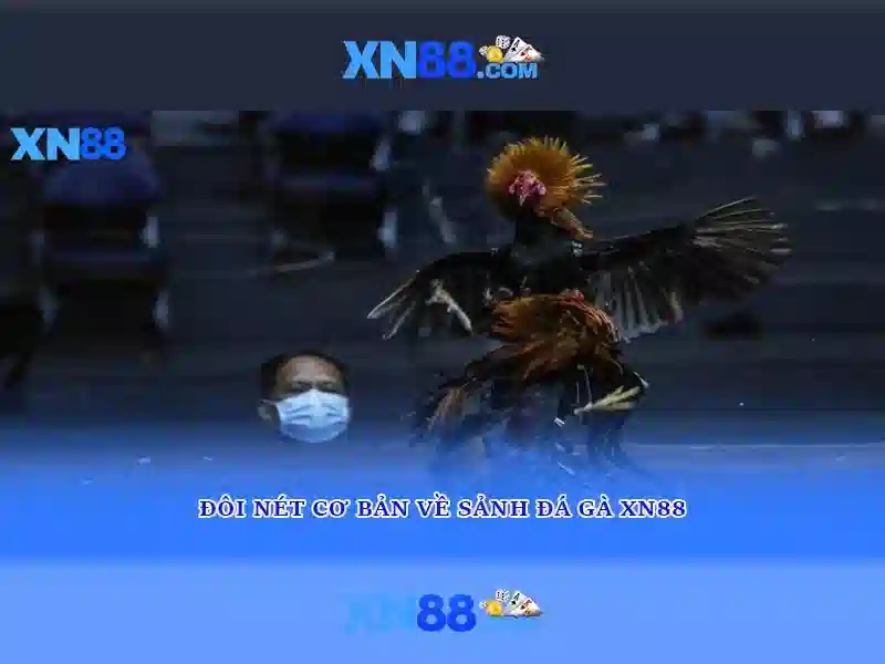 💎66b có giấy phép không💎 - cd 66b pe - 66b con