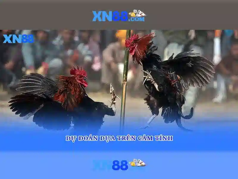 💎nhà cái ee 88💎