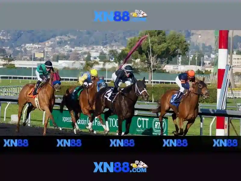 💎trang ti le ca cuoc💎