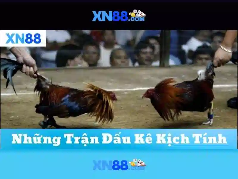 💎xn88 50 slot💎