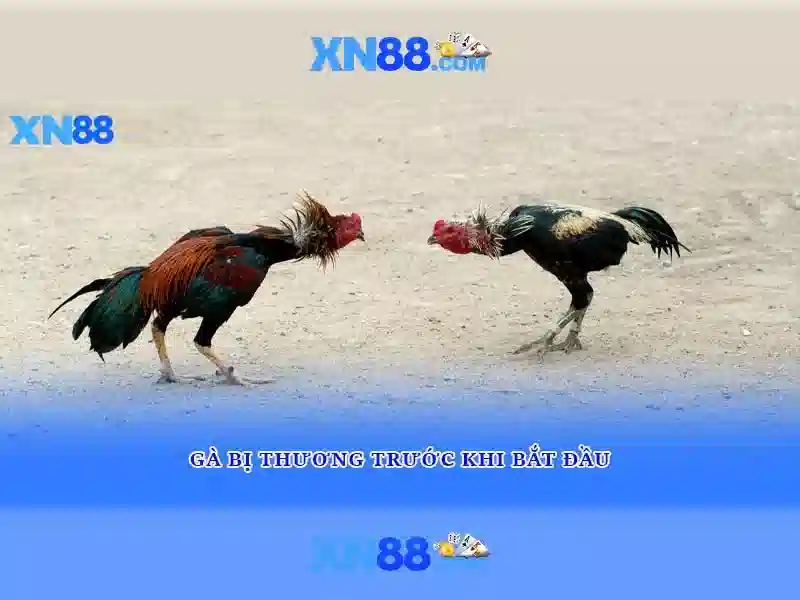 💎m1 xn88💎 - tải xn88 - xn88 nổ hũ