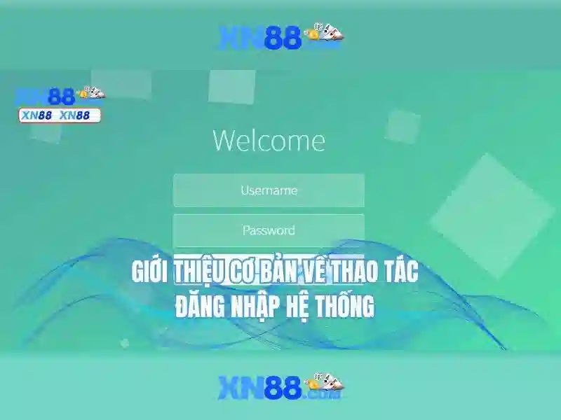 💎nhà xe quang đông đi móng cái💎