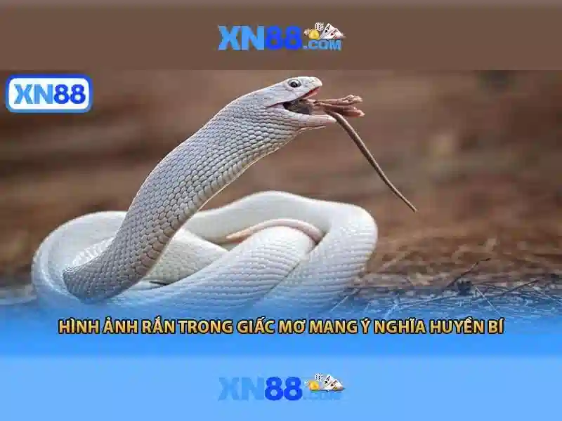 💎các sông ở bắc á ko có đặc điểm💎