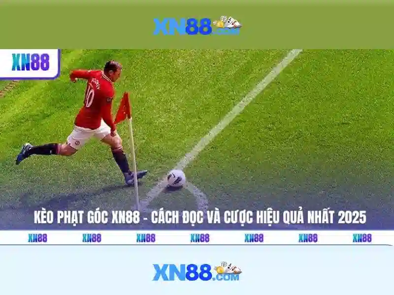 💎nhà cái nét💎