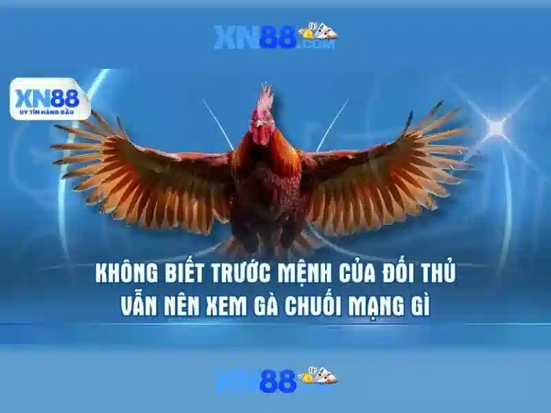 💎hom nay mien bac danh j💎