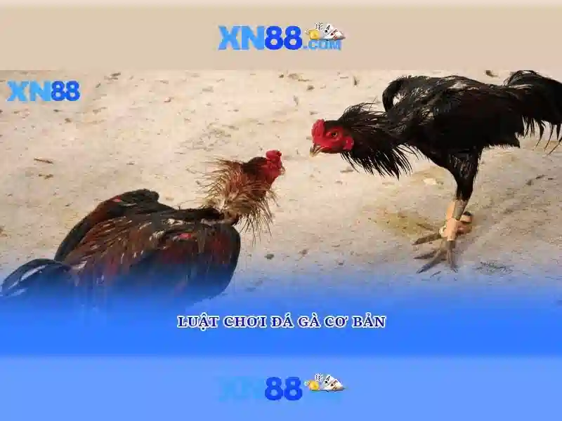 💎bally wulff slot spiele💎