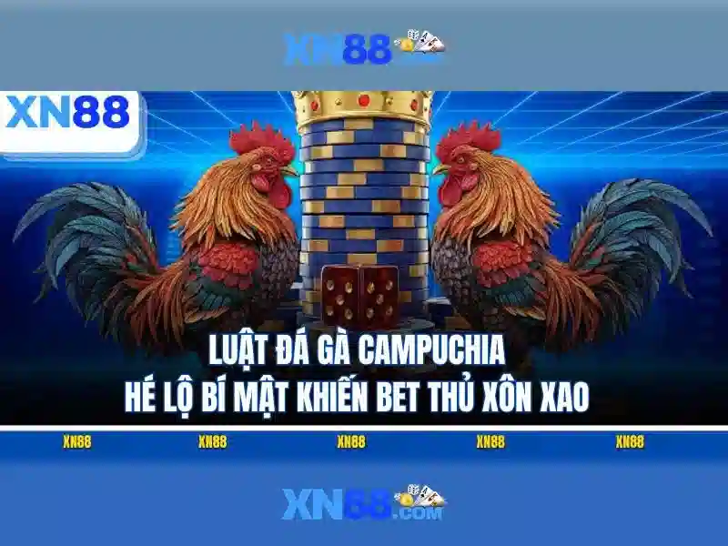💎kinh nghiệm cá cược bóng rổ💎