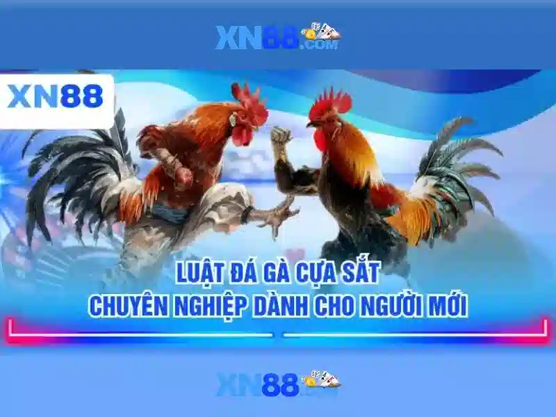 💎xem tỷ lệ cá cược bóng đá world cup💎