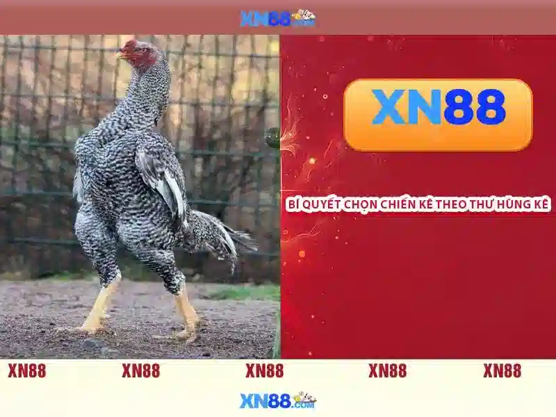 💎casino online bedava slot💎