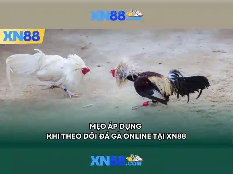 💎nhà cái lô đề thenyic.net💎