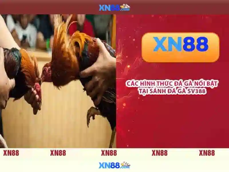 hướng dẫn truy cập XN88 - XN88