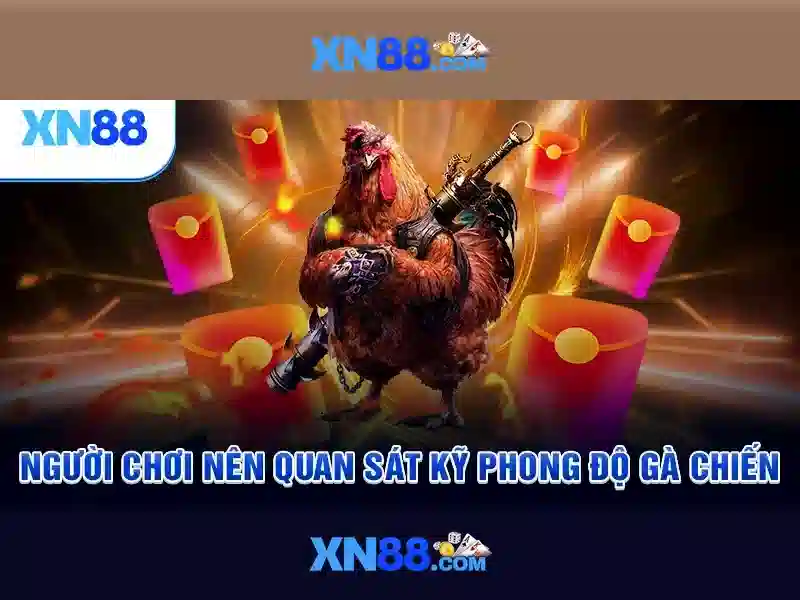 💎keo nha cai h2💎