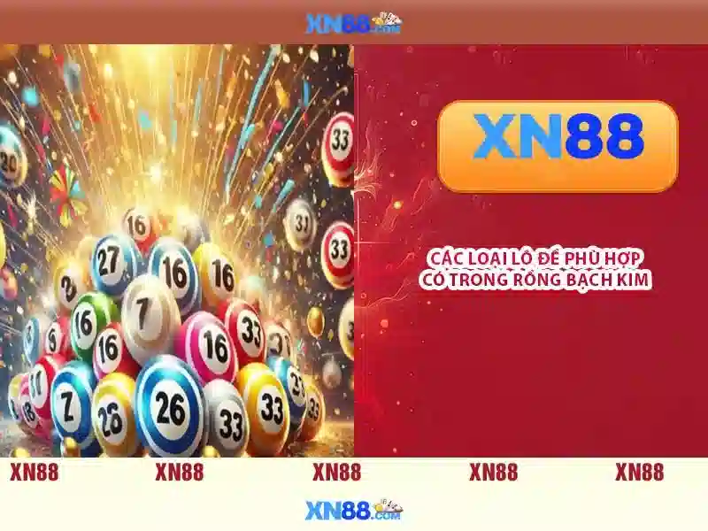 💎bingo slot machines games💎