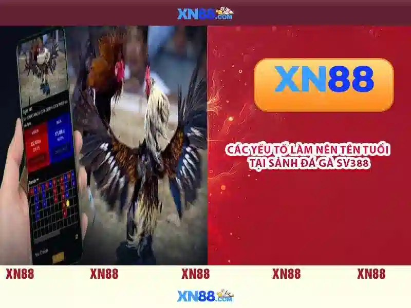 💎nha cai uy tinmx💎