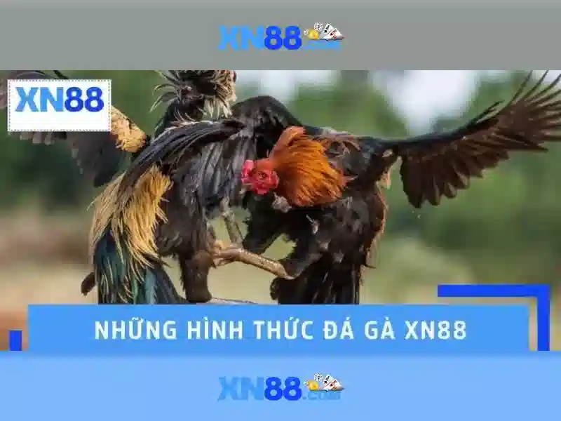 💎xem trực tiếp tennis kèo nha cái💎