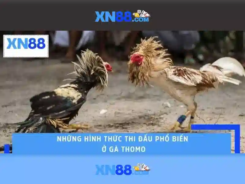 XN88 Win - Trải Nghiệm Slot Đỉnh Cao Với Tỷ Lệ Thưởng Hấp Dẫn - XN88