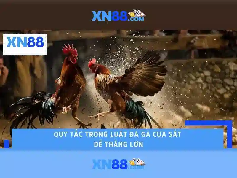 💎nhà cái fun88 hay💎