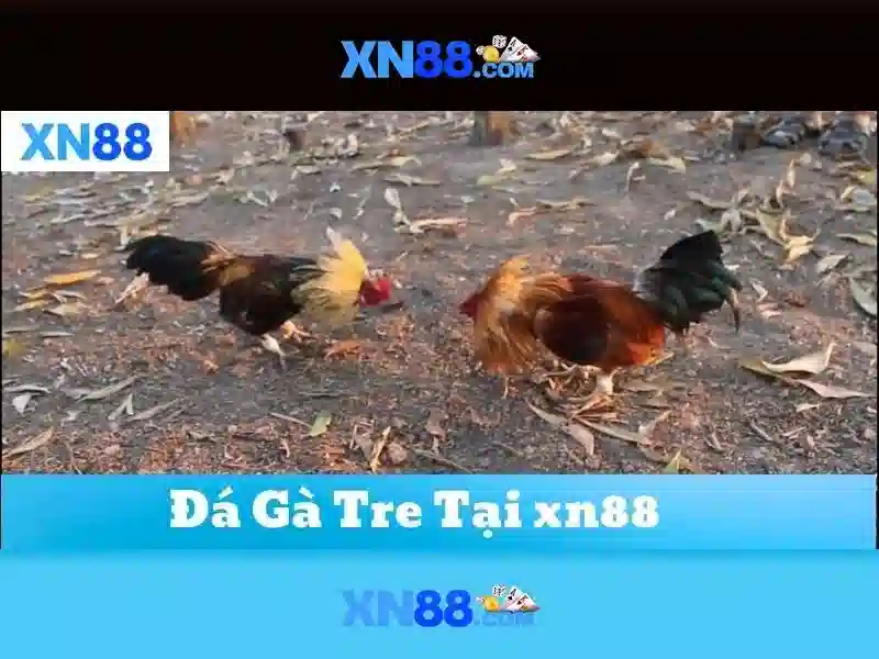 💎kèo tỉ số nhà cái euro💎