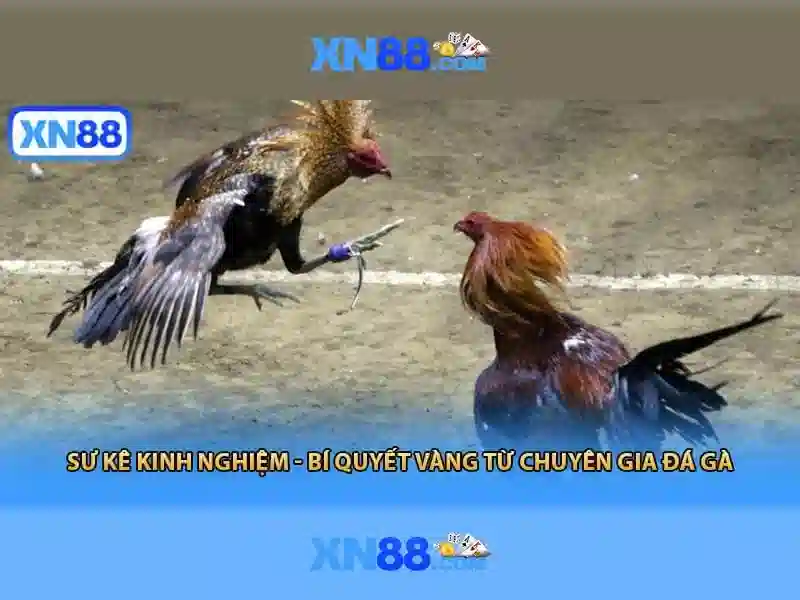 💎fabet đăng ký💎 - nhà cái fabet chính thức - fabet website