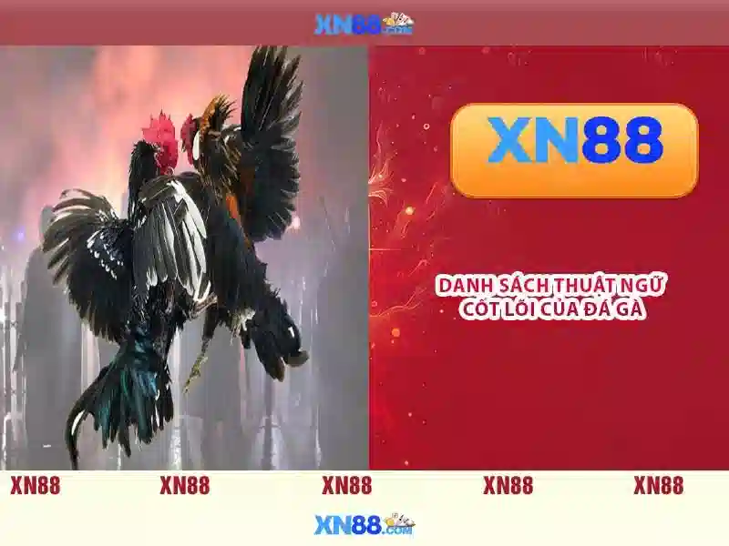 💎danh hài bắc hải💎