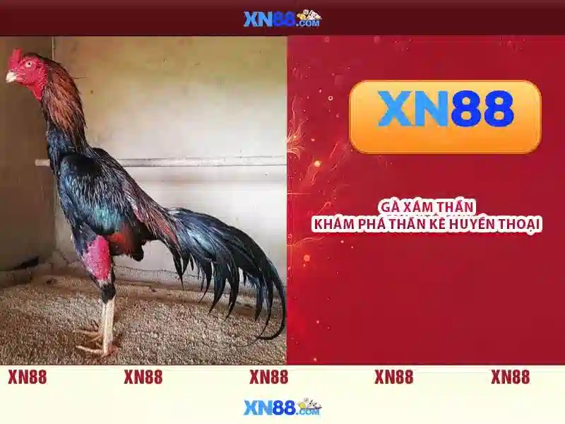 💎kèo nhà cái william💎