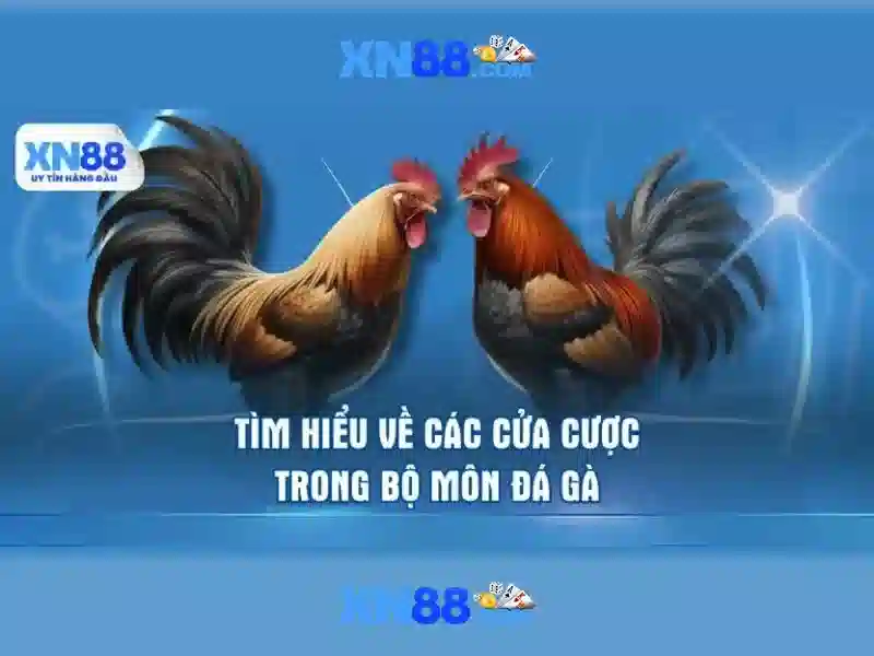 💎kèo nhà cái bóng đá đông nam á💎