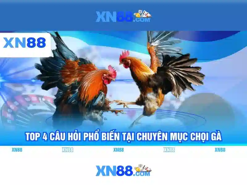 💎sin88 clup💎 - sin88 hiện đang mở - sin88 mxx