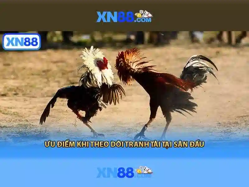 💎sin88 link đăng ký💎 - trang sin88 win - sin88 ink