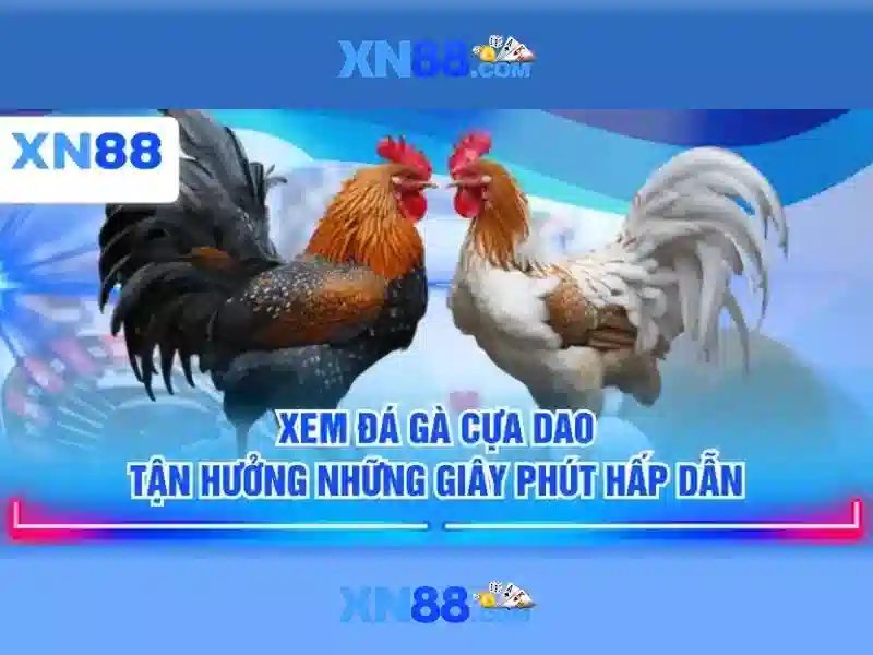 💎10 trang cá cược uy tín💎
