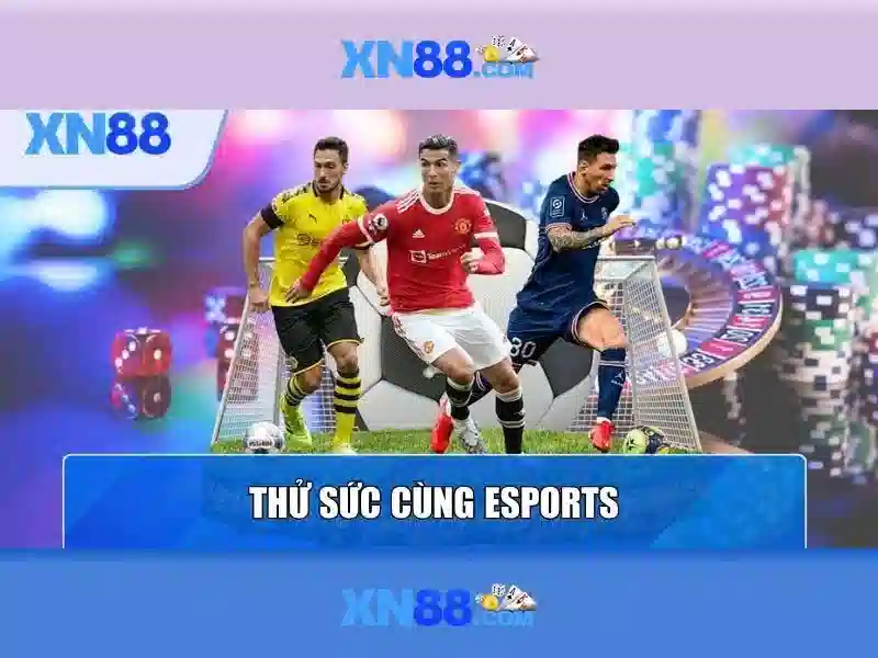 💎cá cược thể thao hull💎