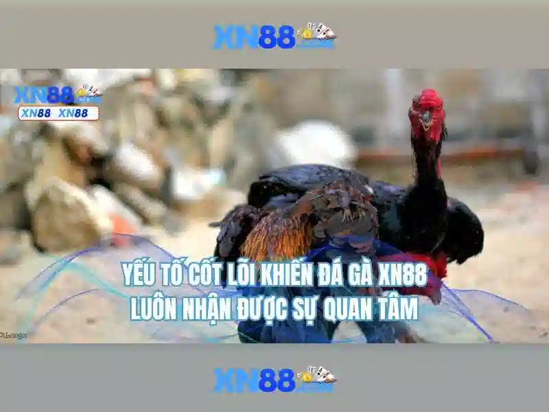 💎trang web cá cược bóng đá uy tín💎