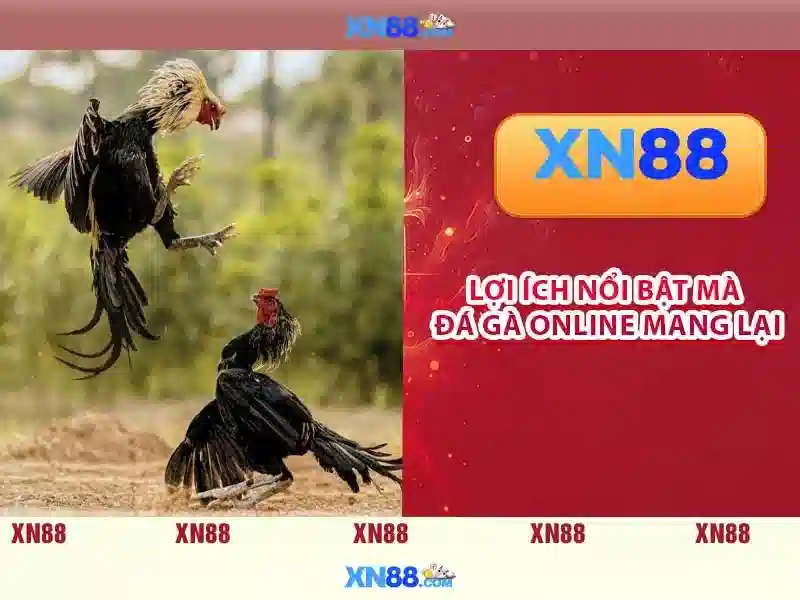 💎nha cai bong88 hoa hong cao💎