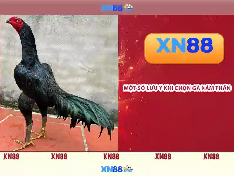 💎xn88 178 fishing💎