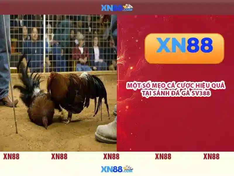 💎đổi mật khẩu 66b💎 - sony ecm 66b - đăng nhập 66b