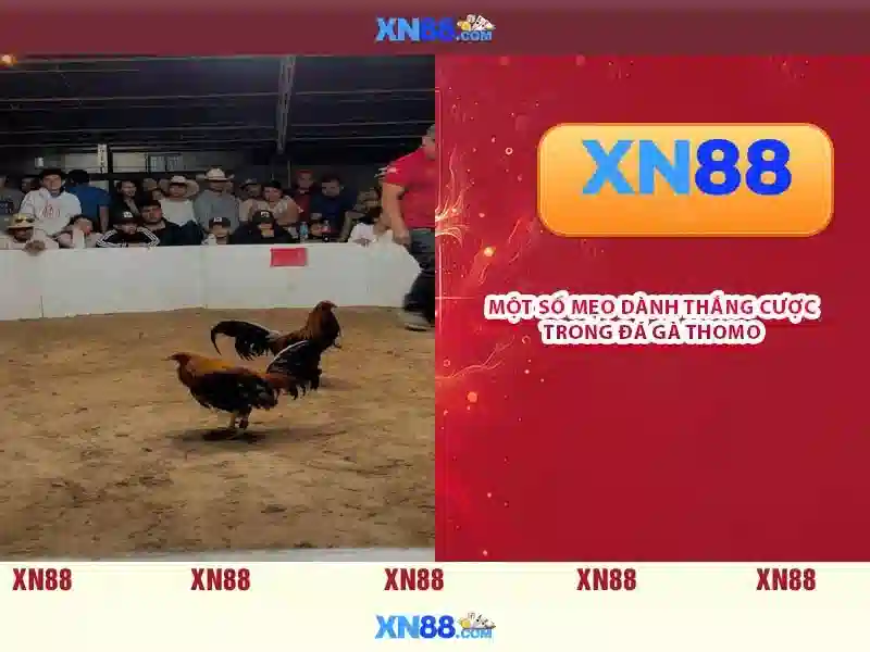 💎crazy hunter xn88 demo💎