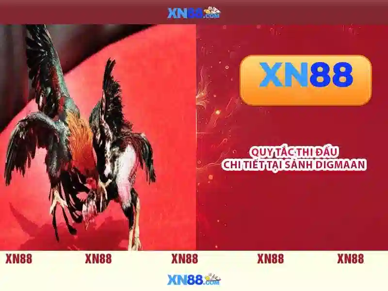 💎cài win tại nhà bách khoa💎