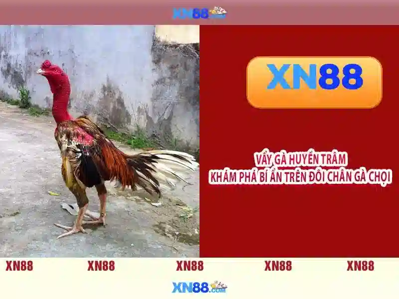 💎link 555win💎 - 555win co - 555win link