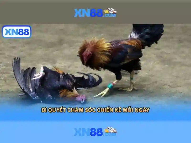 💎công ty vàng bạc quốc trinh đánh giá💎