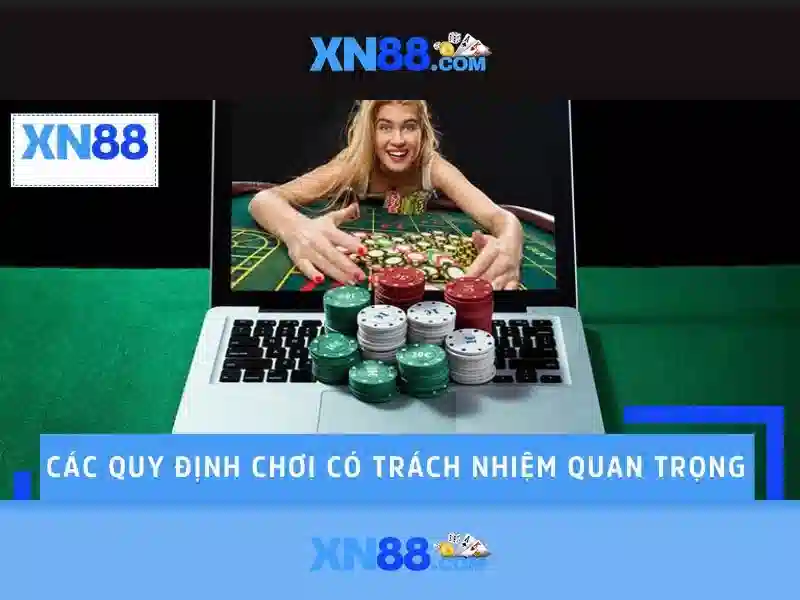  老虎机 - XN88