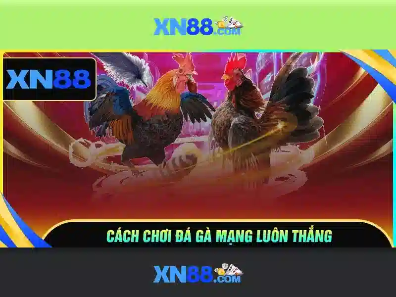 💎các nhà cái cá độ💎