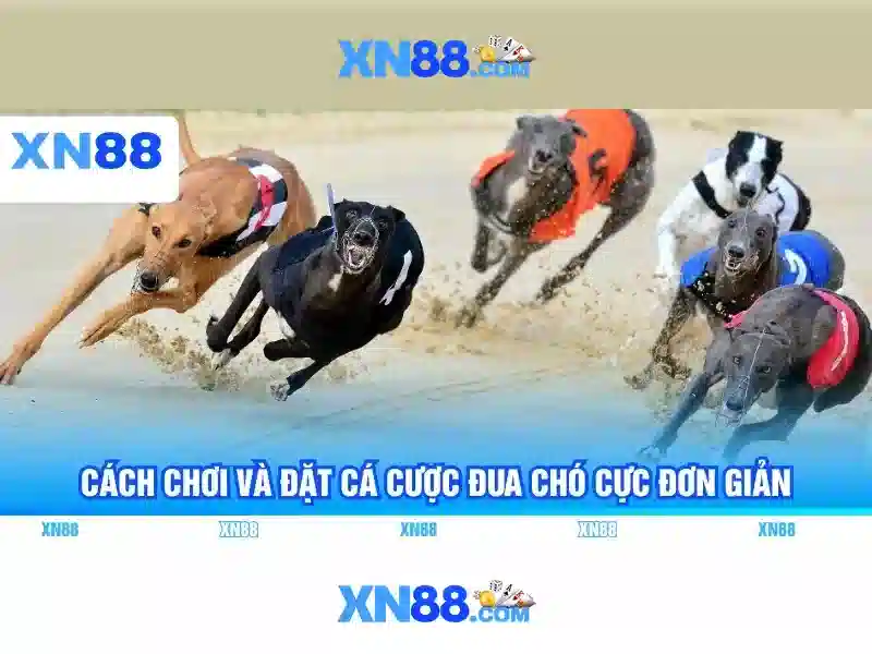 💎888 slot australia💎