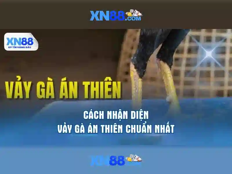  XN88 là gì - XN88
