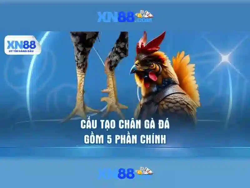 💎kèo góc nhà cái tỷ lệ💎