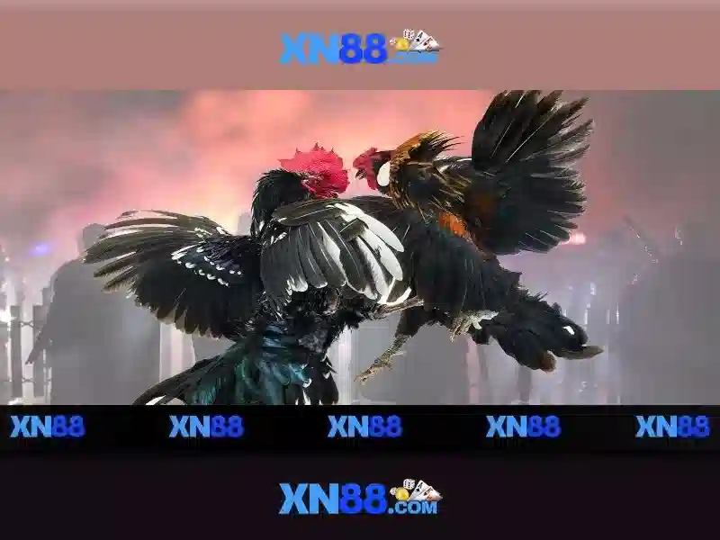 💎slot xn88 winbet💎