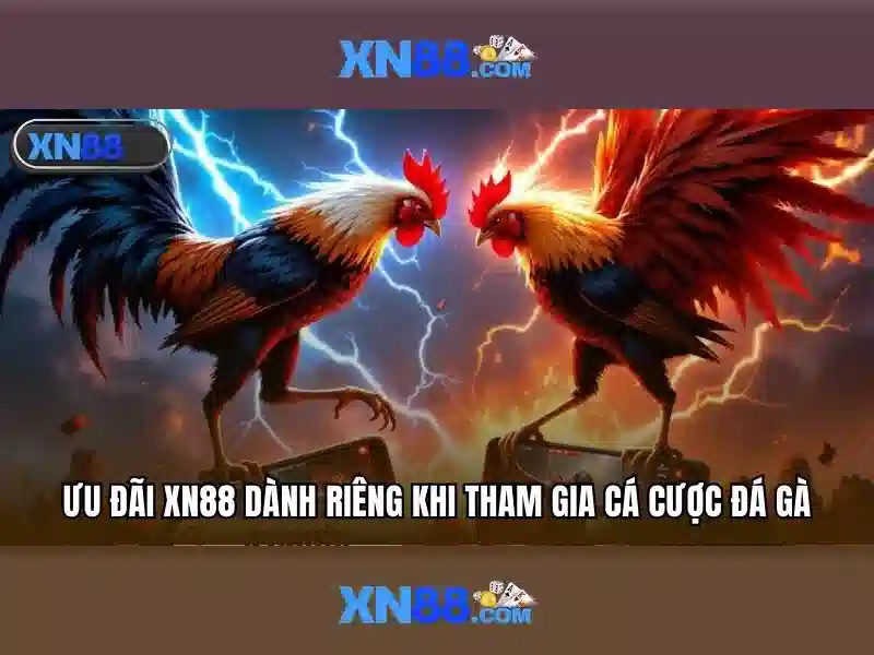 💎lịch thi đấu bóng đá nhà cái💎