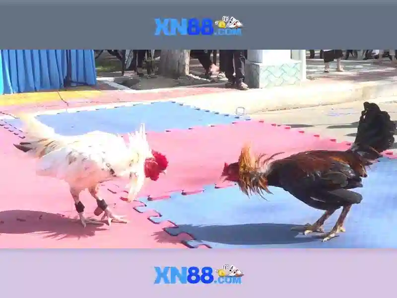 💎how to cash out slot machine💎