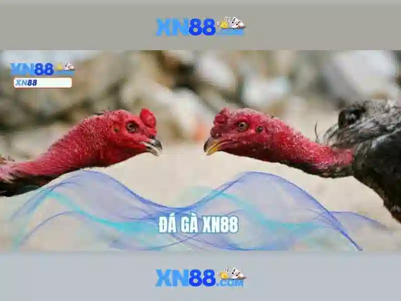 💎888 slot nhà cái uy tín💎