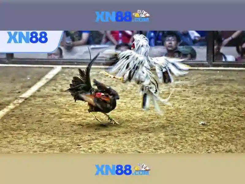 💎nạp rút tiền nhà cái💎